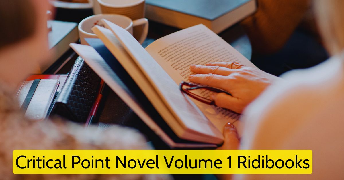 Critical Point Novel Volume 1 Ridibooks