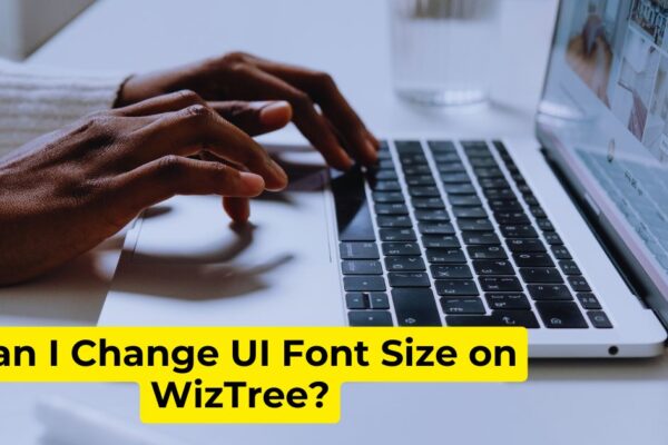 Can I Change UI Font Size on WizTree?