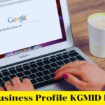 Google Business Profile KGMID Extractor